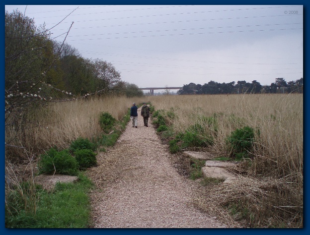 600x449 pixels (143K)